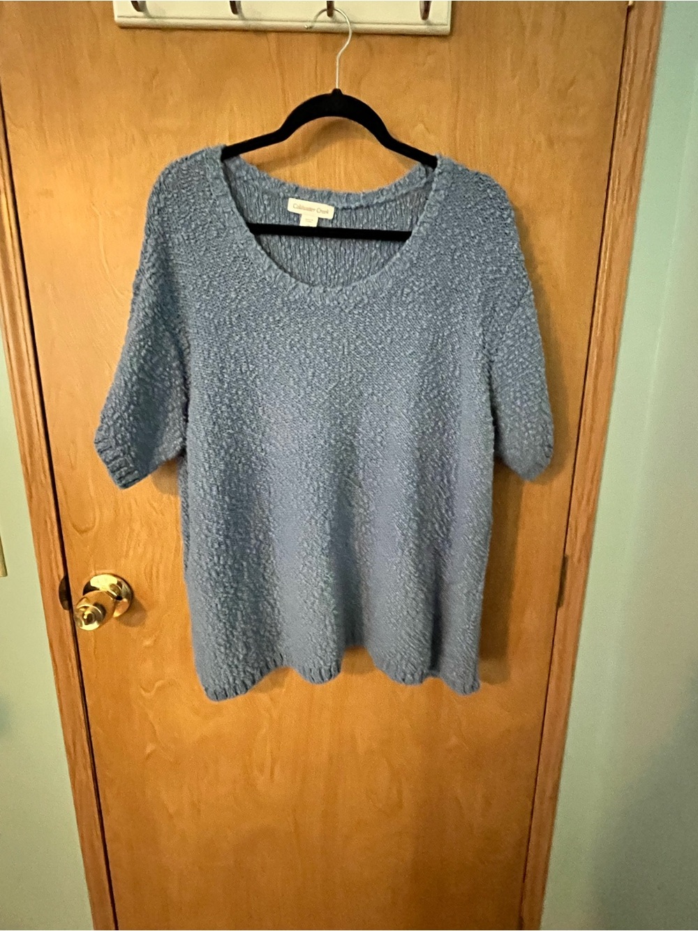 Coldwater Creek Women’s Dusty Blue Textured Short Sleeve Sweater Size XXL EUC